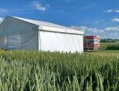 Párty stan 10x5m 2